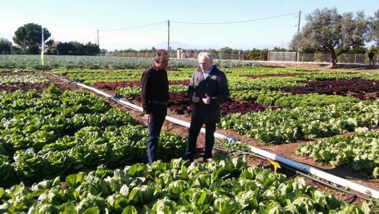 Συνομιλία Γιάννη Ανδριανού με καλλιεργητές στον αποδεικτικό αγρό στα Ίρια   