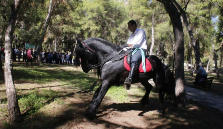 Περιουσιολόγιο: Από χρυσές λίρες μέχρι… άλογα! Τι πρέπει να δηλώσετε