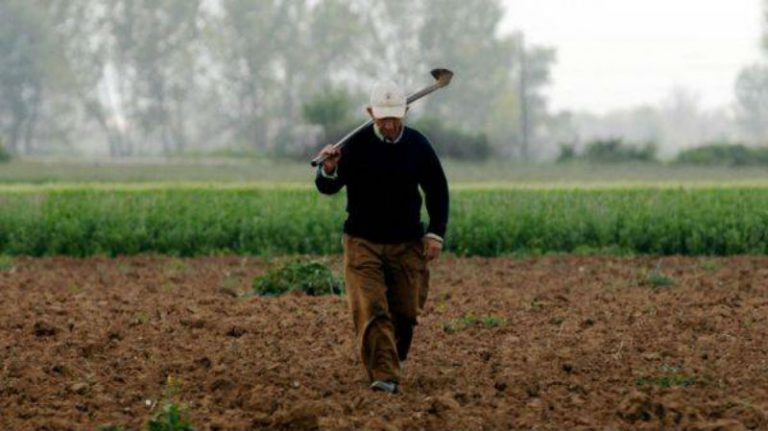 Ποιοι αγρότες θα αποζημιωθούν για τις ζημιές της κακοκαιρίας- Συναντήσεις σε Αργολίδα και  Αρκαδία