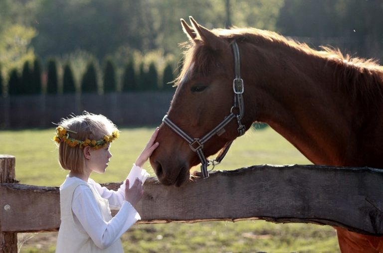 “ΝΟΙΑΖΟΜΑΙ ΚΑΙ ΔΡΩ” προβολή ταινίας και συναντηση με άλογα στο 3ο Δημοτικό Σχολείο Άργους