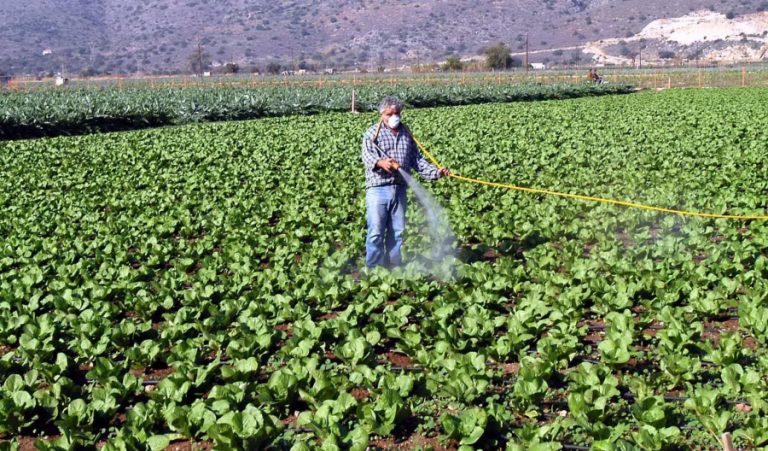 ΟΠΕΚΕΠΕ: Παράταση για την Ενιαία Αίτηση Ενίσχυσης (Δηλώσεις ΟΣΔΕ 2024)