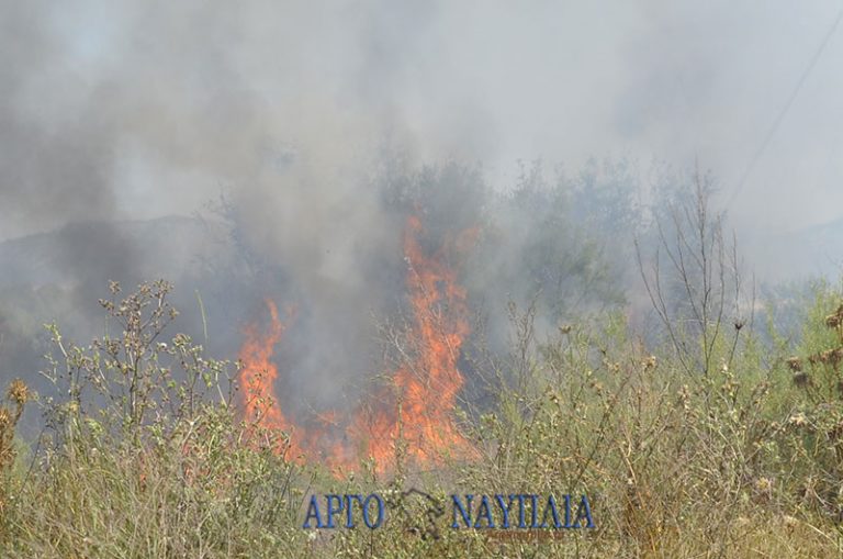 Φωτιά σε αντλιοστάσιο του Αναβάλου στην Νέα Τίρυνθα Ναυπλίου