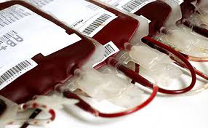 Σαρίδη: Ελάτε για αιμοδοσία οι ανάγκες για αίμα στο νομό Αργολίδας ειδικά αυτήν την περίοδο είναι ιδιαίτερα αυξημένες!