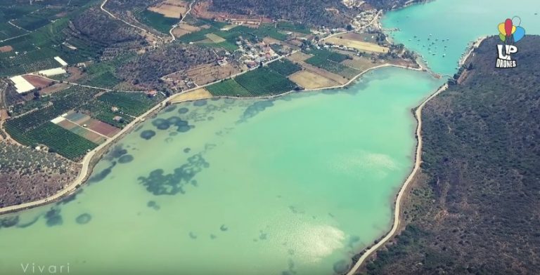 Επαναλαμβάνεται ο διαγωνισμός για τη διαχείριση της λιμνοθάλασσας στο Βιβάρι –    Συσκέψεις στα γραφεία της Π.Ε. Αργολίδας