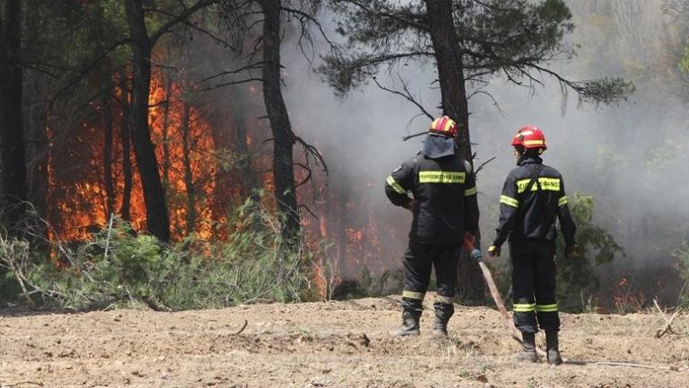 Πυρκαγιά στην περιοχή Άνω Καλλιθέα Αχαΐας