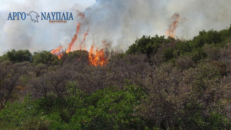 Πυρκαγιά αυτή την ώρα στην περιοχή Πουλακίδα Ναυπλίου (βίντεο)