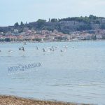 flamingo_nafplio-9