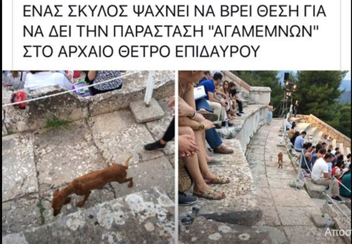 Σκελετωμένος σκύλος στο αρχαίο θέατρο της Επιδαυρου! Ο Στέλιος Κυριακού έσωσε το σκυλί