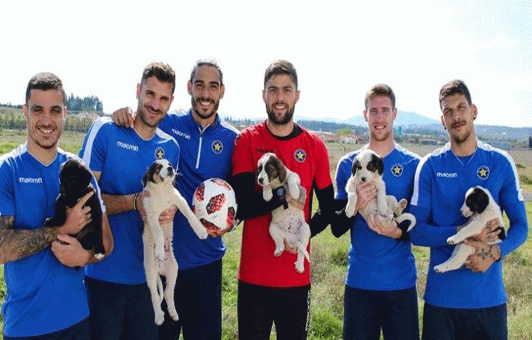 Οι ποδοσφαιριστές του Αστέρα Τρίπολης φροντίζουν αδέσποτα κουταβάκια