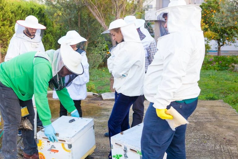 Το ΔΙΕΚ Ναυπλίου καταρτίζει απολύτως τους μελισσοκόμους