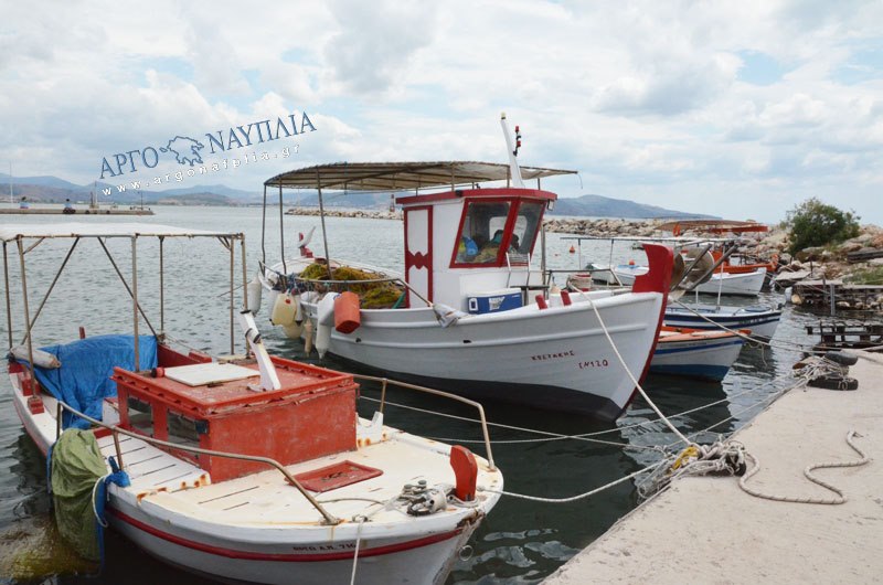 Το Σωματείο επαγγελματιών αλιέων Ναυπλίου ενημερώνει για την Ανανέωση άδειας εκτέλεσης πλόων