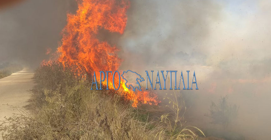 ΕΚΤΑΚΤΟ: Μεγάλη φωτιά κοντά σε σπίτια στο Σαλάντι Ερμιονίδας ( βίντεο)