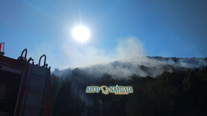 Αργολίδα: Φωτιά στην Ερμιονίδα συγκεντρώνει τις δυνάμεις της Πυροσβεστικής Υπηρεσίας