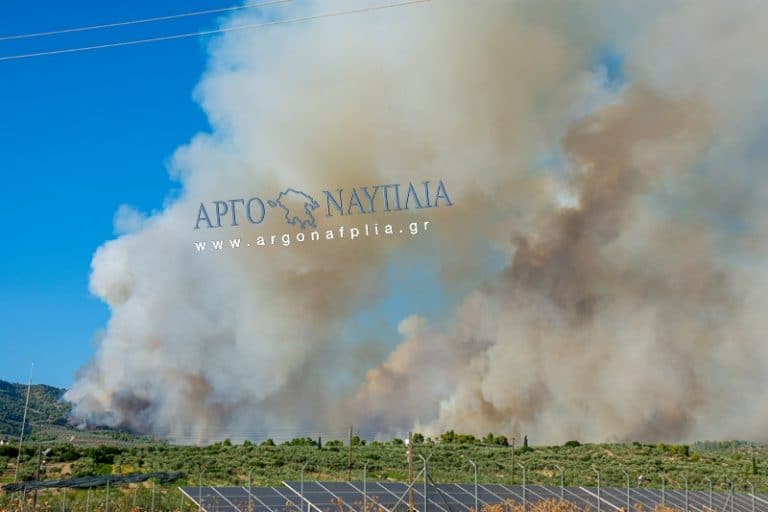 Ηλεία: Μεγάλη φωτιά στην Ηράκλεια – Εκκενώνεται το Πελόπιο, Πλάτανος και Καυκανιά – Η φωτιά κινείται προς Ολυμπία