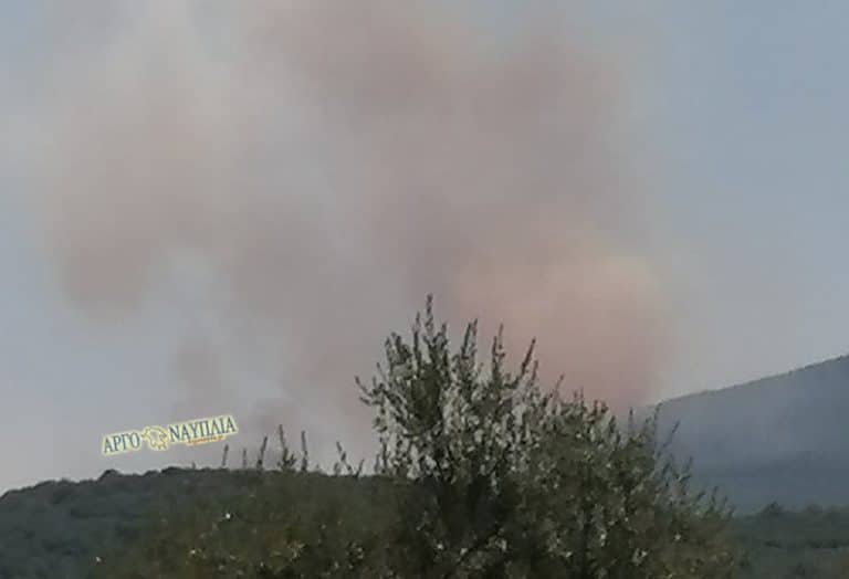 Πυρκαγιά σε αγροτοδασική έκταση στο Πεταλίδι Μεσσηνίας