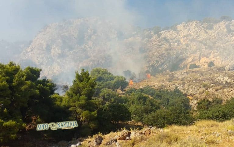Αργολίδα: Πυρκαγιά σε σκουπιδότοπο σε βουνό του Δήμου Επιδαύρου κοντά στο Λυγουριό