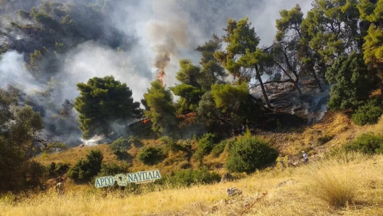 Σε εξέλιξη φωτιά σε δασική έκταση στο χωριό Καλέντζι του Δήμου Βέλου-Βόχας- Ενισχύσεις και από Άργος