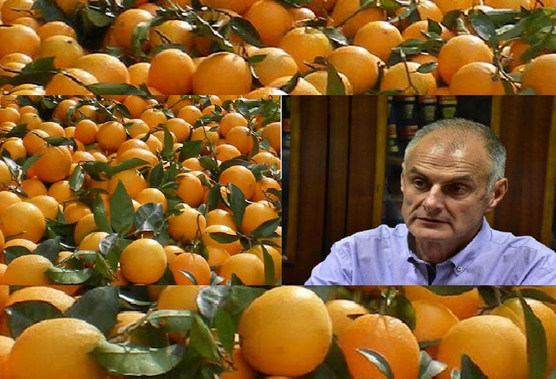Γιάννης Γκιόλας: “Απάντηση που προκαλεί τον αγροτικό κόσμο της Αργολίδας έδωσε ο υπουργός Αγροτικής Ανάπτυξης Σπ. Λιβανός”