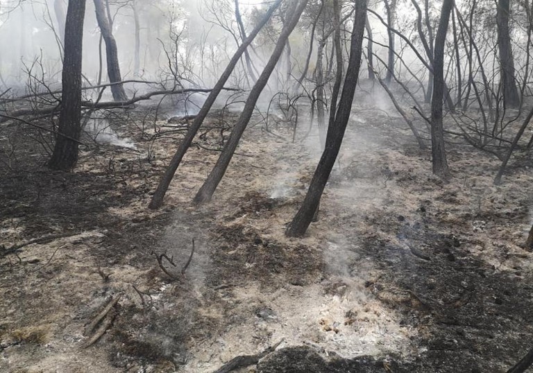 Ευχαριστίες των Εθελοντών Περιβάλλοντος Χιλιομοδίου για συνδρομή στη μεγάλη πυρκαγιά Φανερωμένης