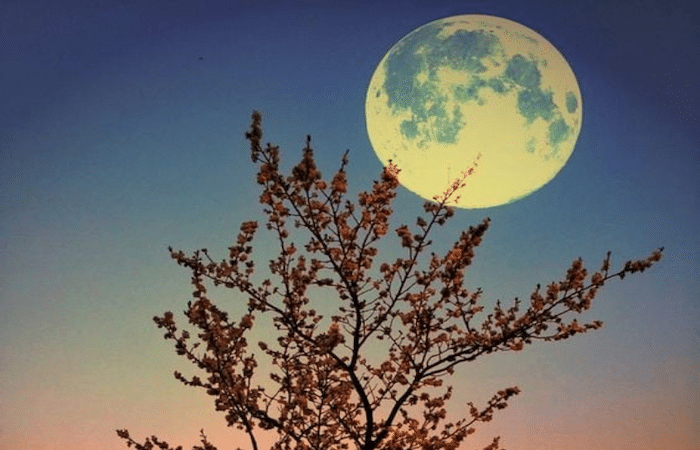 Tα ζώδια σήμερα 11 Απριλίου: Το εξάγωνο Σελήνης με Κρόνο φέρνει αποφασιστικότητα και συνετές επιλογές στα ζώδια