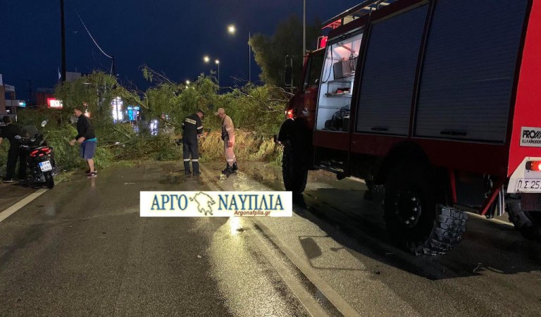 Εκτακτο: Έκλεισε ο δρόμος Ναυπλίου – Άργους – Έπεσαν πολλά δέντρα