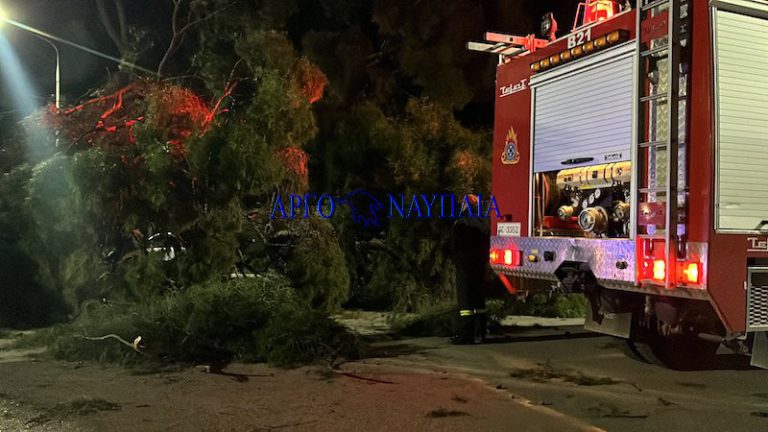 Γλυφάδα: Συνελήφθησαν δύο ανήλικοι που φέρονται να έβαλαν τη φωτιά στην Τερψιθέα