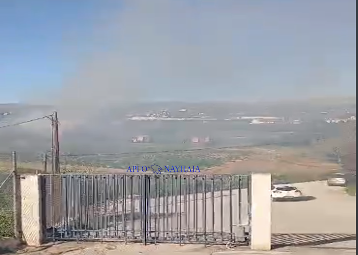 Φωτιά δίπλα στο ΙΕΚ Ναυπλίου στην Άρια – Εκκενώθηκε η σχολή